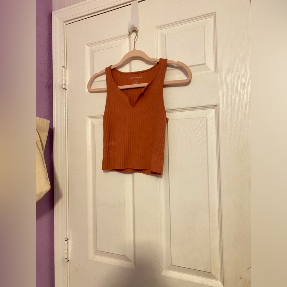 American Eagle Crop Top